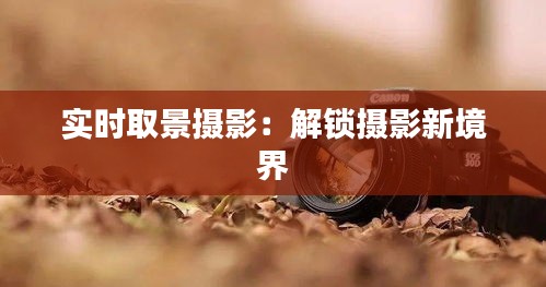 龙飞九五 第3页