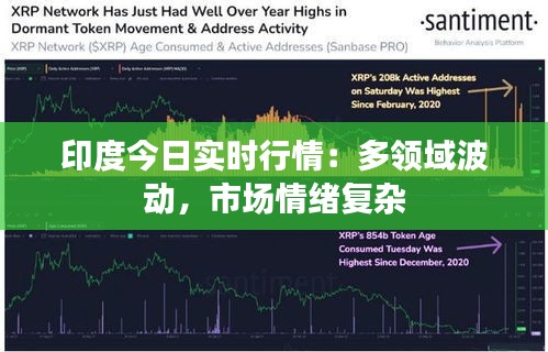 印度今日实时行情：多领域波动，市场情绪复杂
