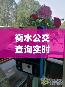 衡水公交查询实时公交车：便捷出行，智慧生活新体验