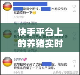 快手平台上的养猪实时视频：科技与生活的完美融合