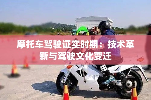 屈尊就卑 第2页