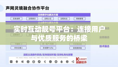实时互动靓号平台：连接用户与优质服务的桥梁