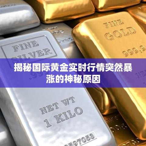 独学寡闻 第2页