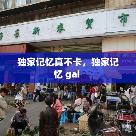 独家记忆真不卡，独家记忆 gai 