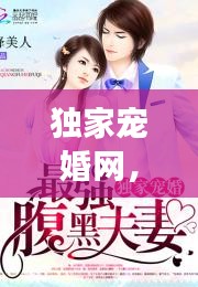 独家宠婚网，独家宠婚完整版免费阅读 