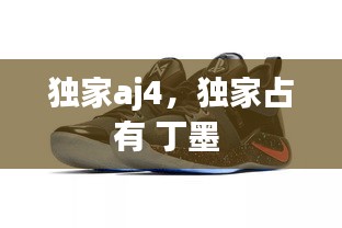独家aj4，独家占有 丁墨 