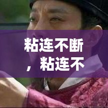 坌鸟先飞 第2页