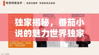 物稀为贵 第2页