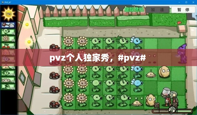 大张挞伐 第2页