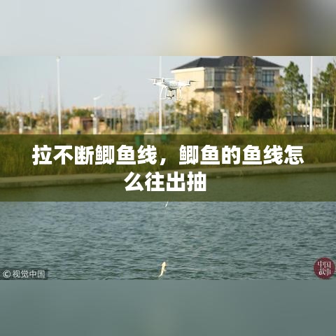 观往知来 第2页
