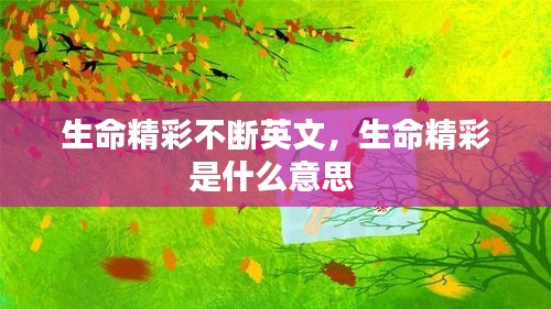 文质彬彬 第2页