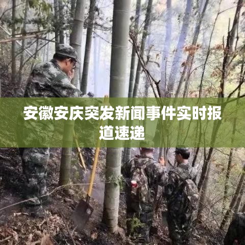 安徽安庆突发新闻事件实时报道速递