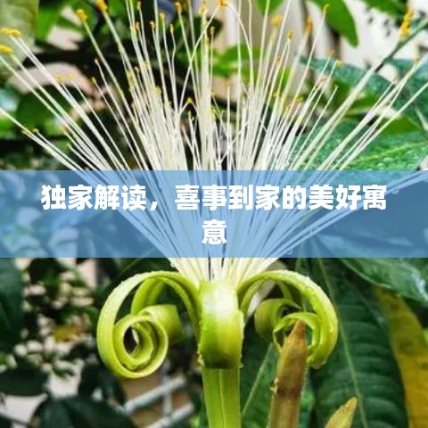 弃文就武 第2页
