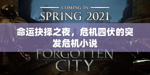 命运抉择之夜，危机四伏的突发危机小说