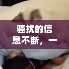 飞禽走兽 第2页