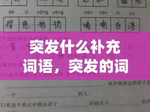 突发什么补充词语，突发的词语 
