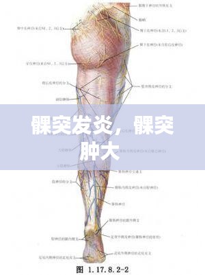 富贵有余 第2页