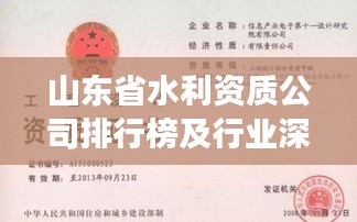 山东省水利资质公司排行榜及行业深度剖析
