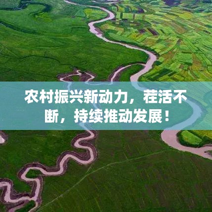 农村振兴新动力，茬活不断，持续推动发展！