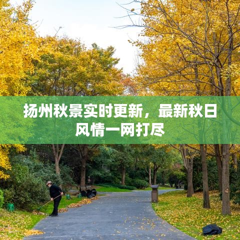 扬州秋景实时更新，最新秋日风情一网打尽