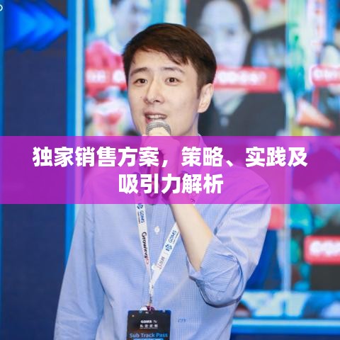 独家销售方案，策略、实践及吸引力解析