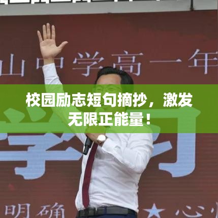 冰清玉洁 第2页