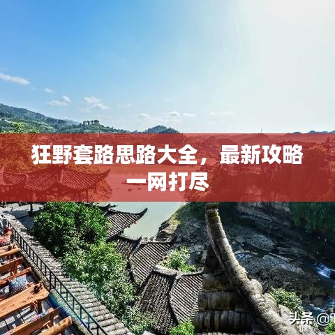 狂野套路思路大全，最新攻略一网打尽