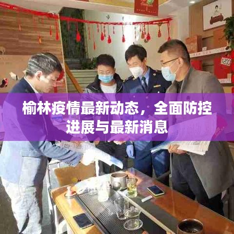 榆林疫情最新动态，全面防控进展与最新消息