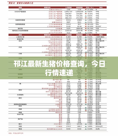 肝胆相照