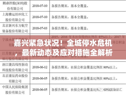 嘉兴紧急状况！全城停水危机，最新动态及应对措施全解析