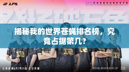 揭秘我的世界苍蝇排名榜，究竟占据第几？
