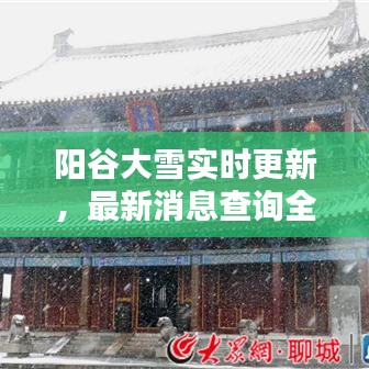 阳谷大雪实时更新，最新消息查询全掌握