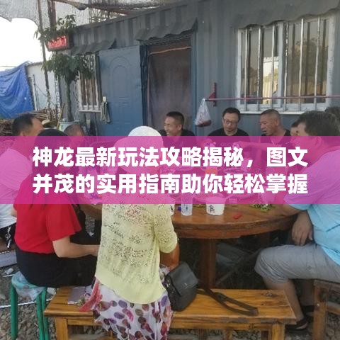 神龙最新玩法攻略揭秘，图文并茂的实用指南助你轻松掌握！