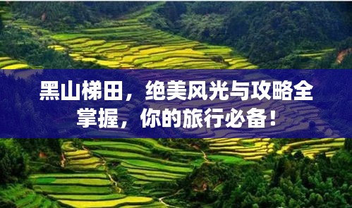 革新变旧