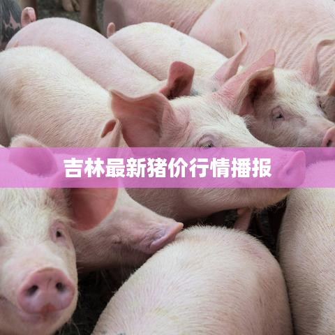 联系方式 第20页