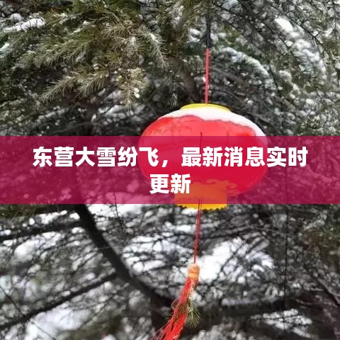 东营大雪纷飞，最新消息实时更新