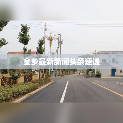 金乡最新新闻头条速递