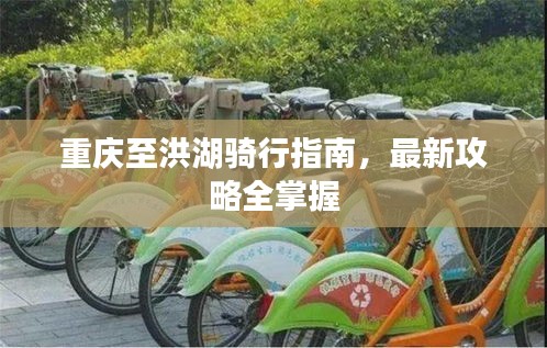 重庆至洪湖骑行指南，最新攻略全掌握