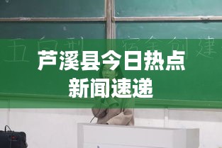 联系方式 第14页