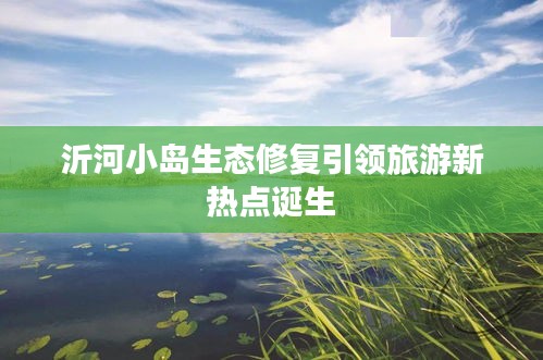 沂河小岛生态修复引领旅游新热点诞生