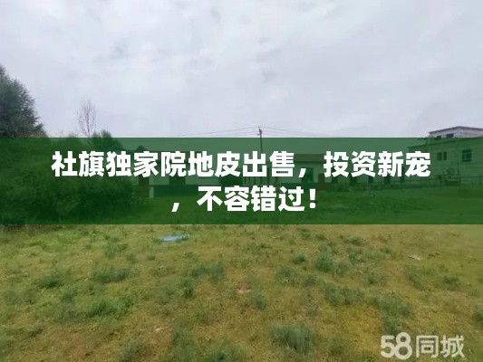 荆钗布裙