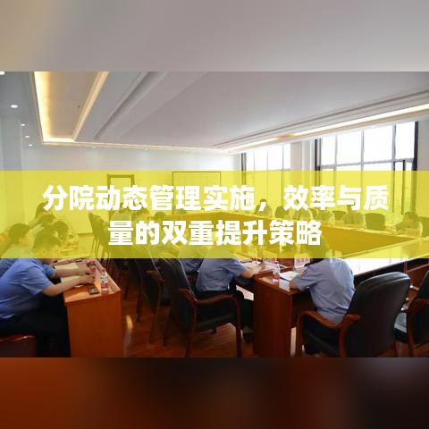 分院动态管理实施，效率与质量的双重提升策略