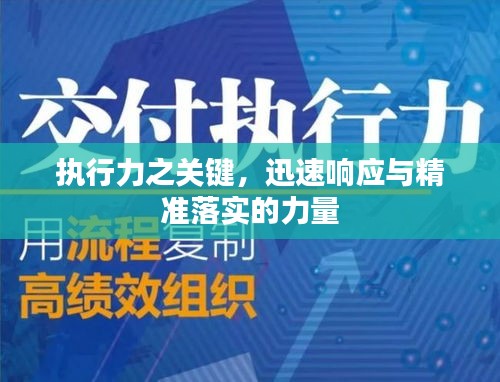 执行力之关键，迅速响应与精准落实的力量