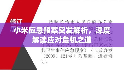 小米应急预案突发解析，深度解读应对危机之道