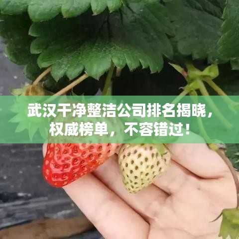 武汉干净整洁公司排名揭晓，权威榜单，不容错过！