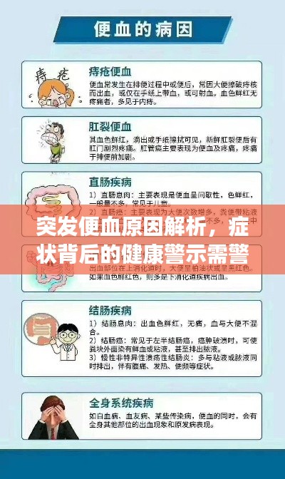 突发便血原因解析，症状背后的健康警示需警惕