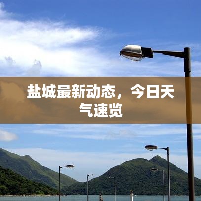 联系方式 第7页