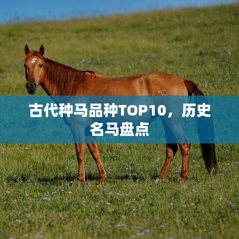 2025年5月8日 第2页