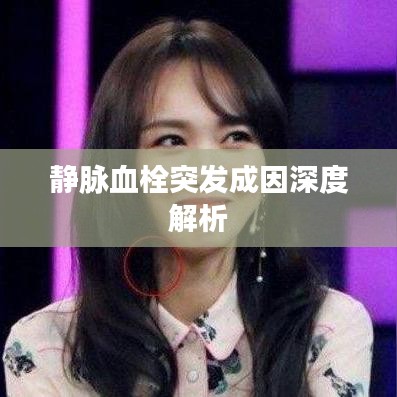 公司介绍 第5页