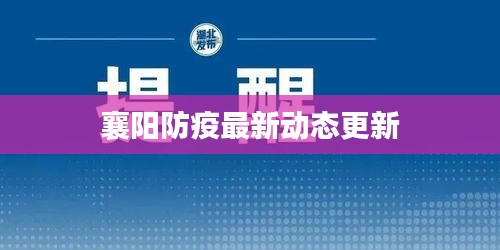 2025年5月10日
